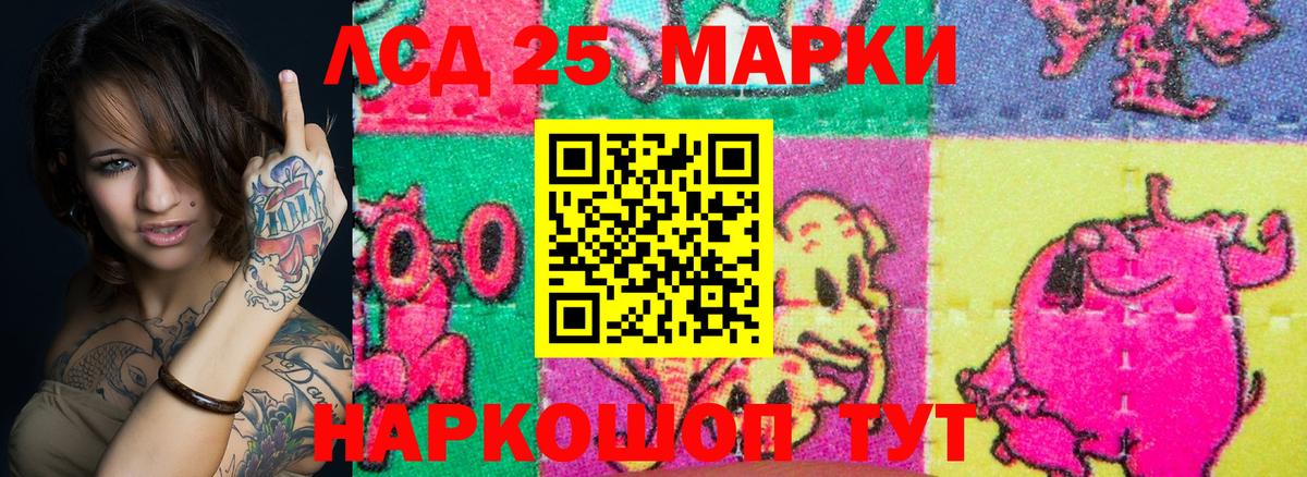 Сокол  Наркотические марки 1,5мг  Вход с VPN 
